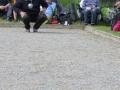 IMG_0181